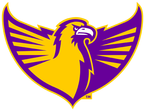 Tennessee Tech Golden Eagles 2006-Pres Alternate Logo v7 iron on transfers for clothing